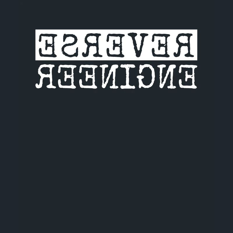 Reverse Engineer Softwareingenieur Developer