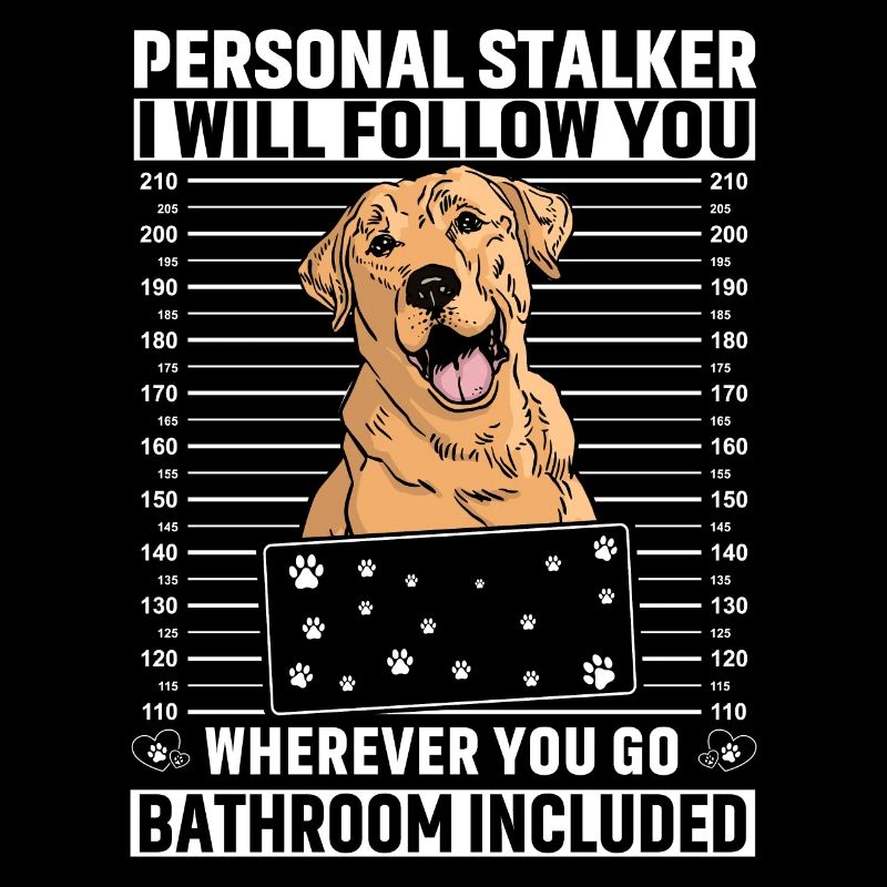 Personal Stalker I will follow you Labrador
