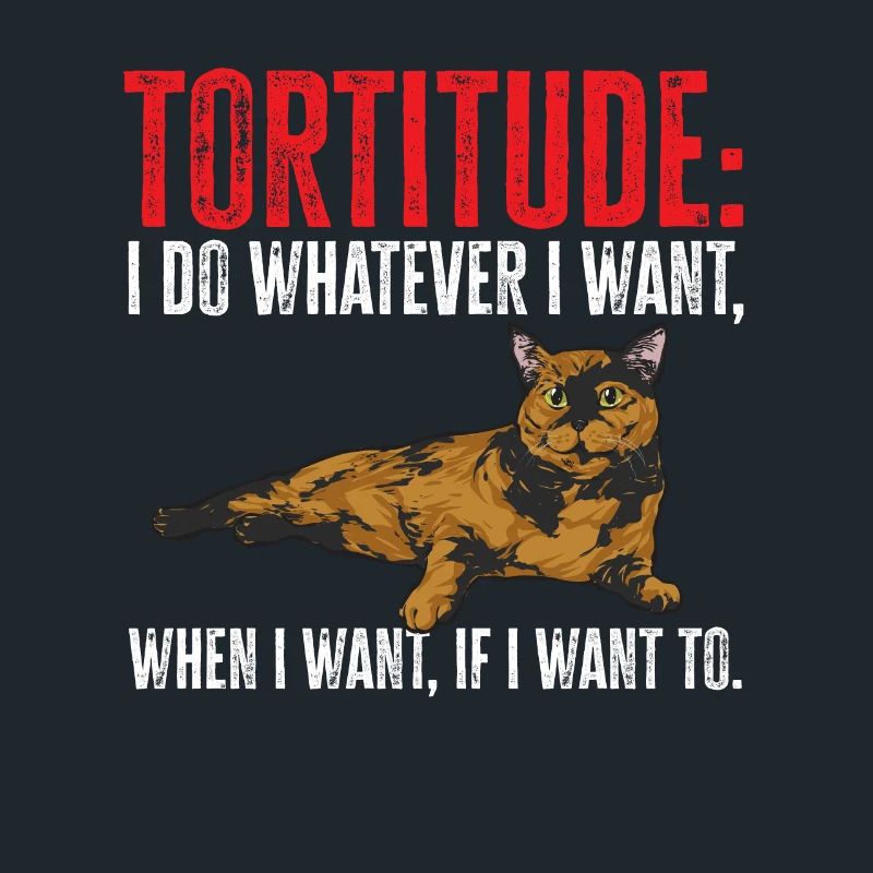 Tortoise Shell Cat Tortoiseshell Cat Tortie