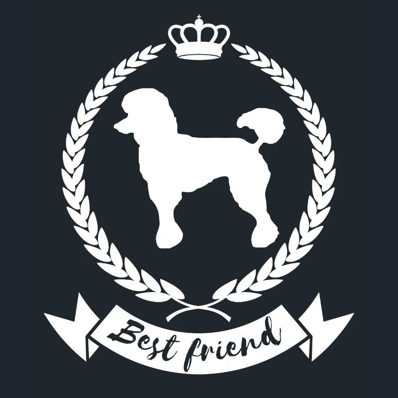 Meilleur ami - Caniche