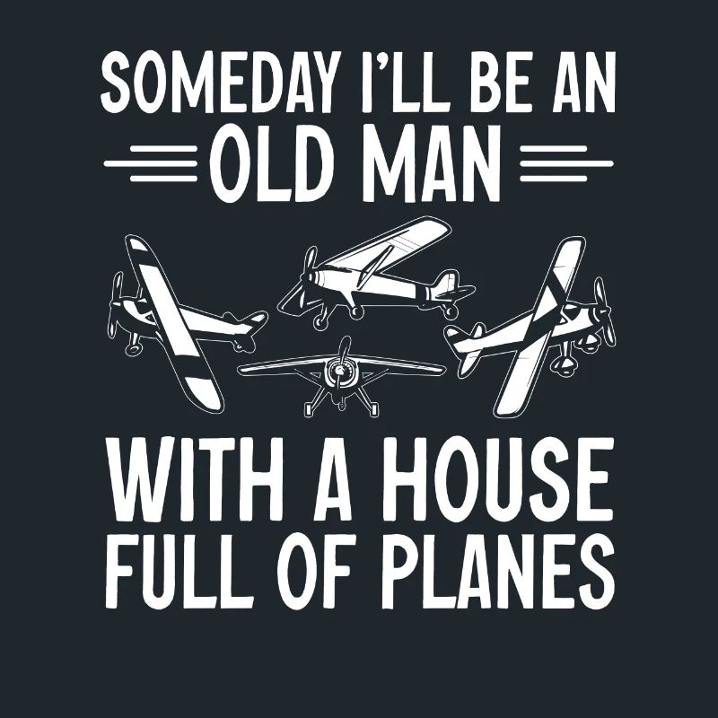 Remote Controlled Airplane Model Airplane