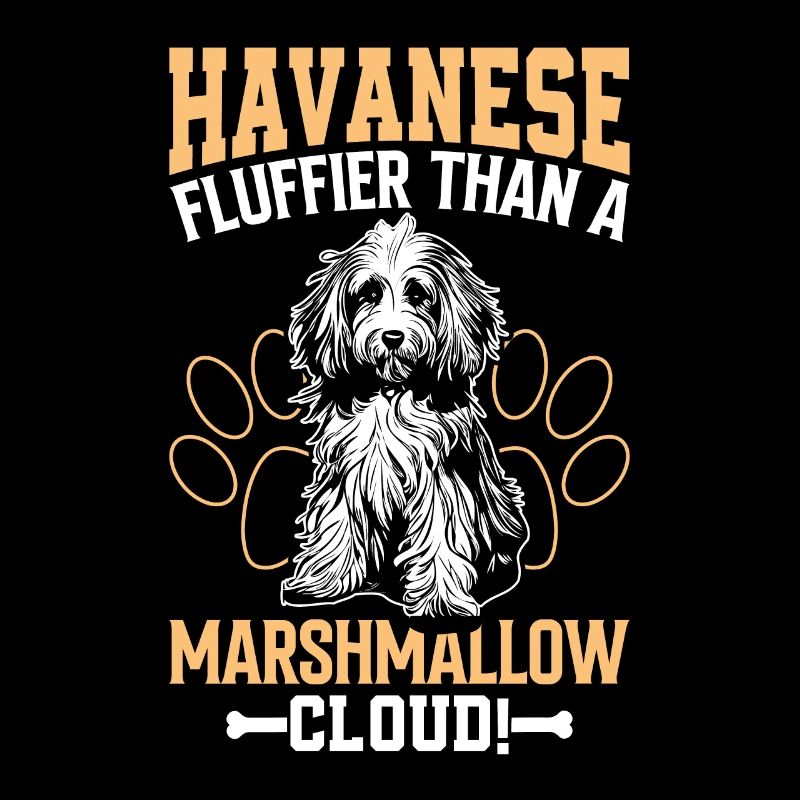 Havanese fluffier than a Marshmallow Cloud