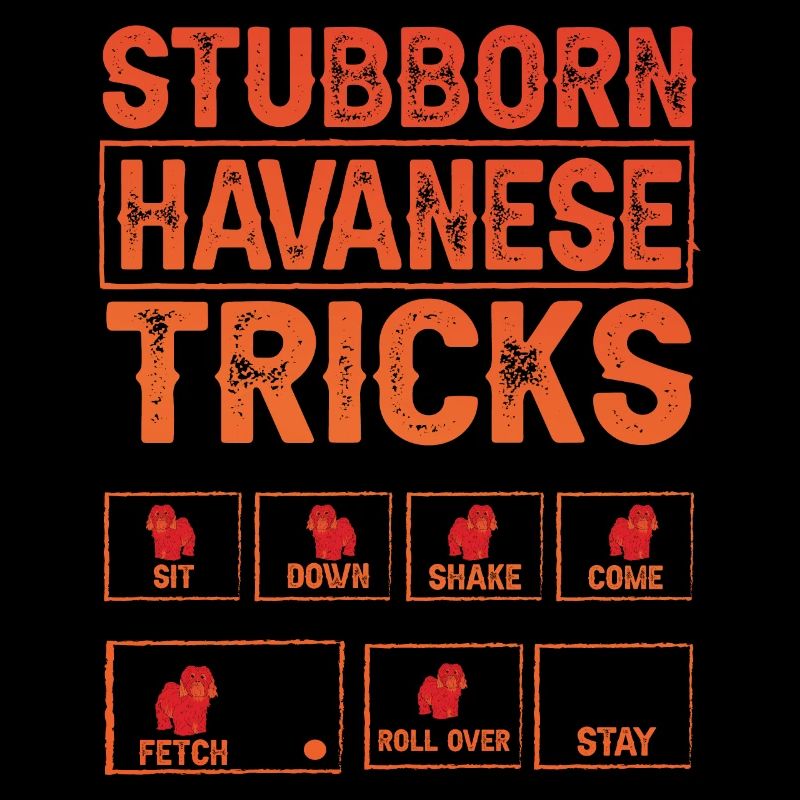 Stubborn Havanese Tricks