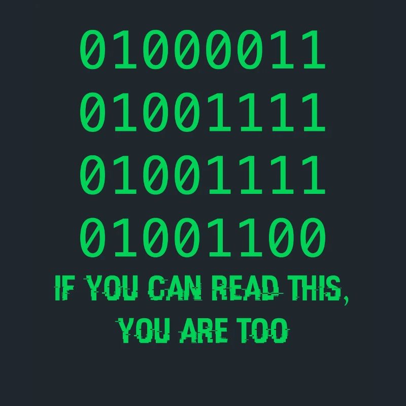 Computer Binary Code Developers Gift