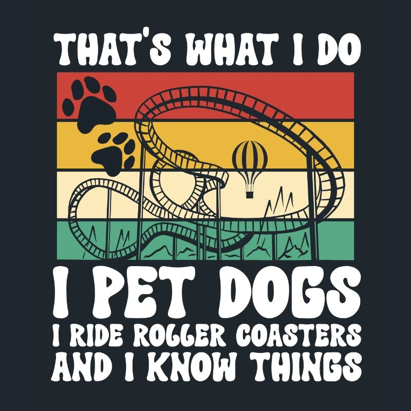 Achterbahn Rollercoaster Freizeitpark