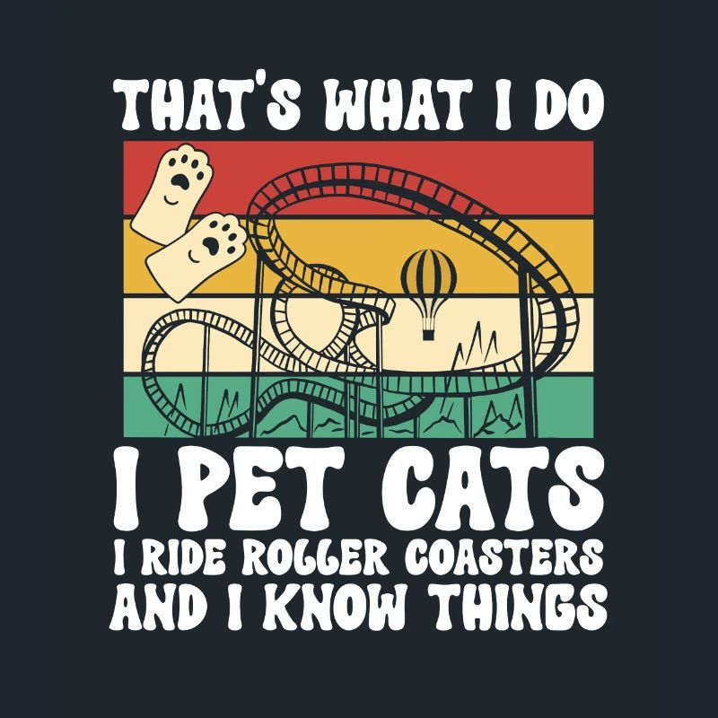 Roller Coaster Parc d’attractions Roller Coaster