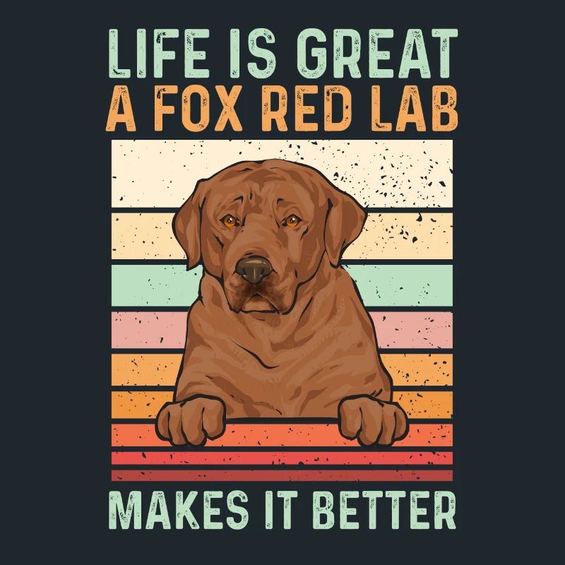 Foxred Labrador Fuchsroter Labrador Retriever