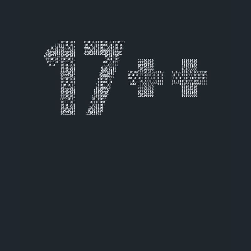 17++ Programmer Developer Coder 18th Birthday