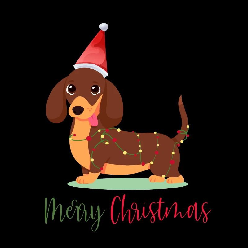 Teckel, Teckel, Noël, Noël