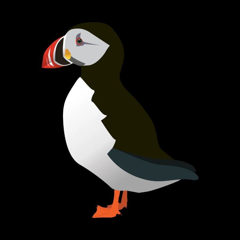 Puffin