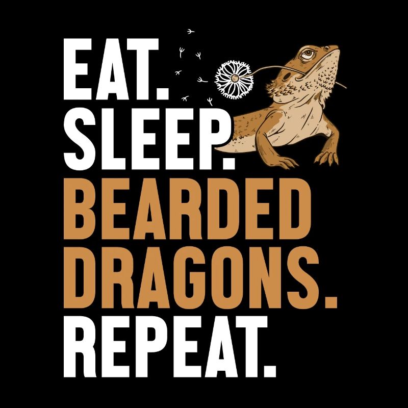 Manger Dormir Dragons Barbus Répéter Pogona Pet