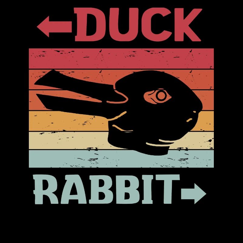Wittgenstein lapin canard illusion