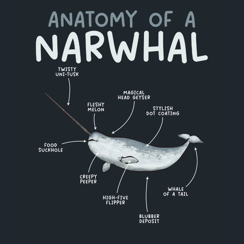 Narwal Einhornwal