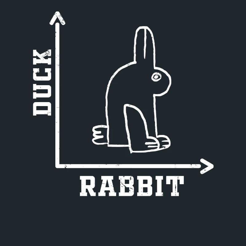 Wittgensteins Rabbit Duck Illusion