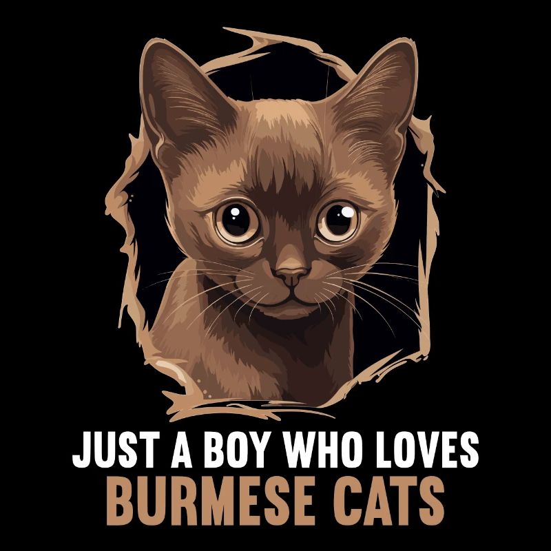 Chat birman Birmanie Katze