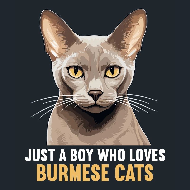 Burmese Cat Burma Katze