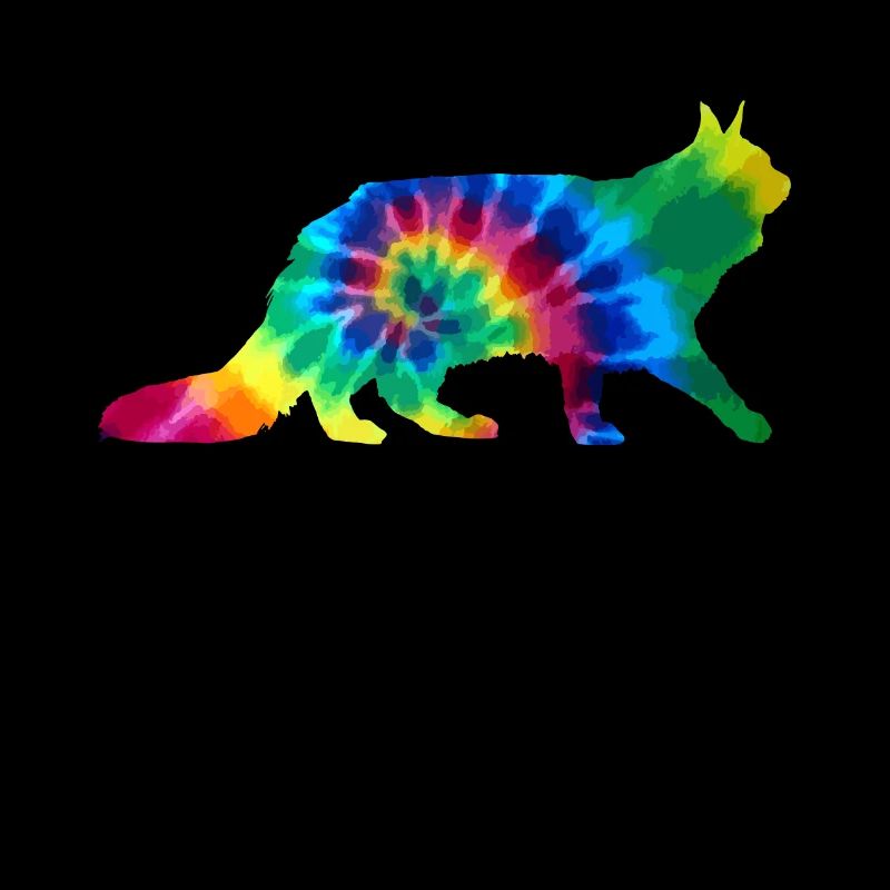 Chat Maine Coon Tie Dye