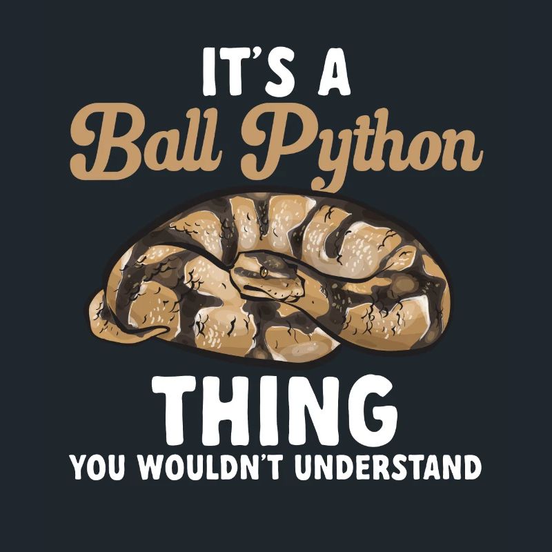 Ball Python Schlange Königspython