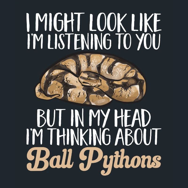 Ball Python Schlange Königspython