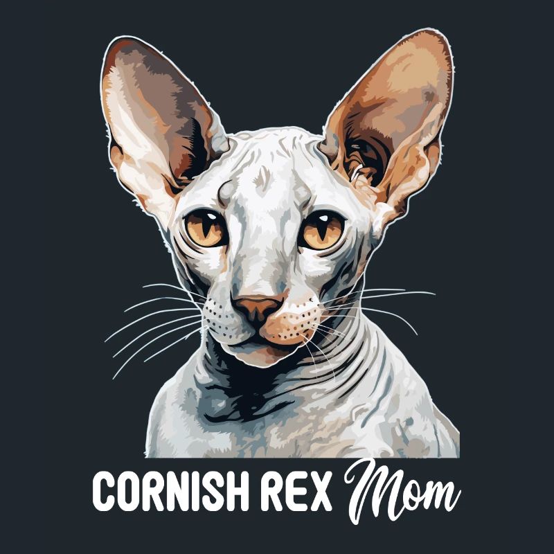 Cornish Rex Kätzchen Cornish Rex Katze