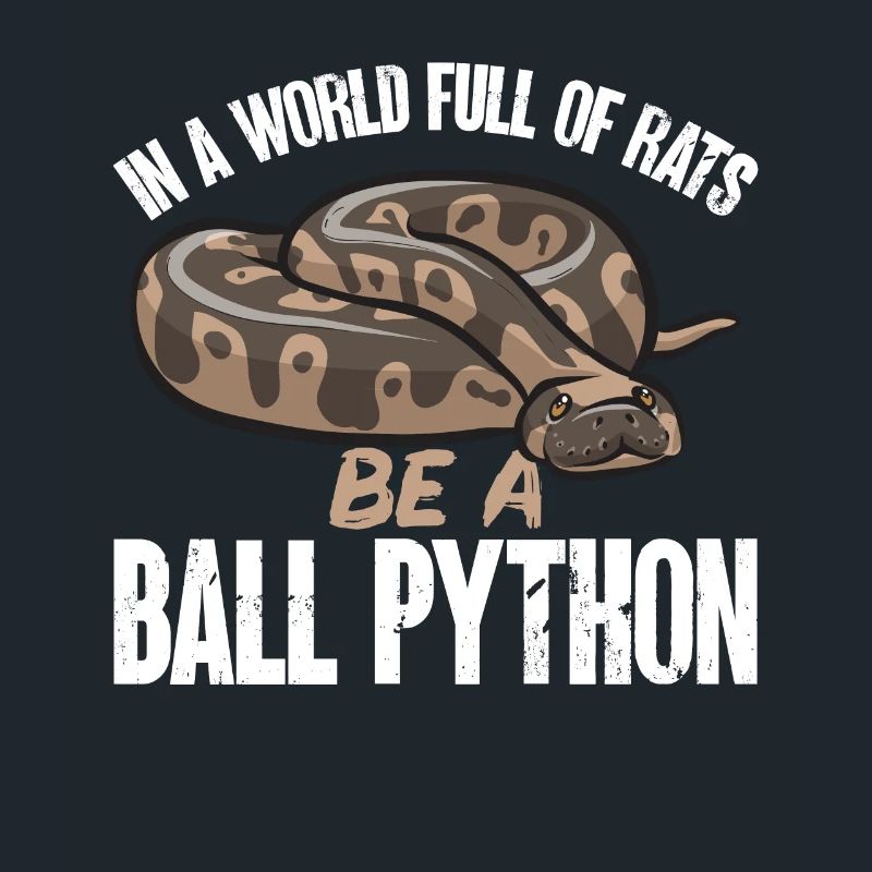 Ball Python Schlange Königspython