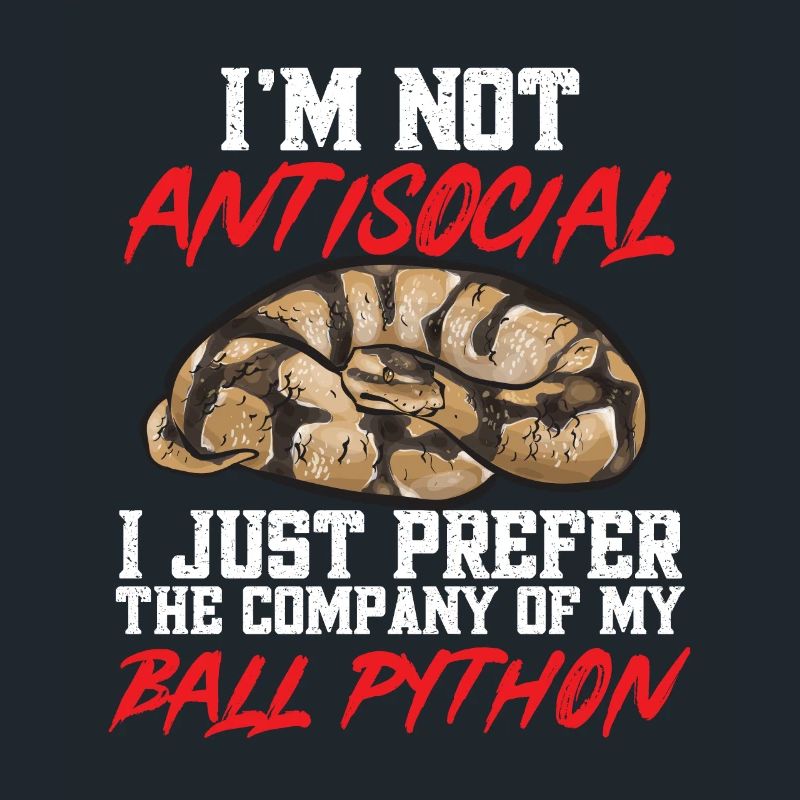 Ball Python Schlange Königspython