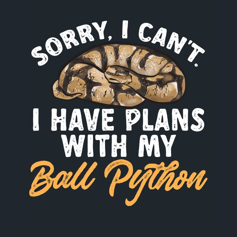 Ball Python Schlange Königspython