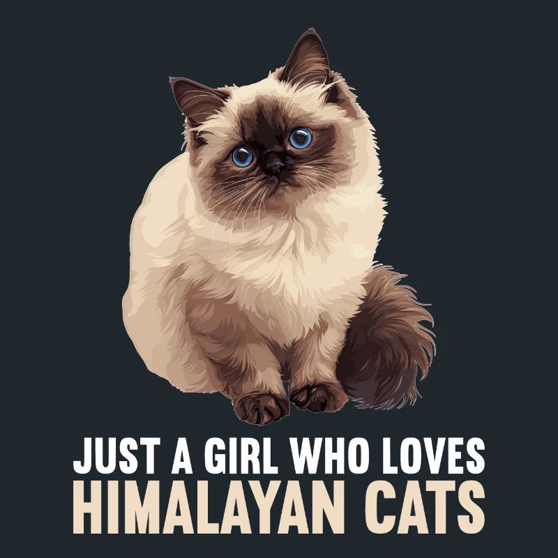 Himalayan Cat Colourpoint Katze