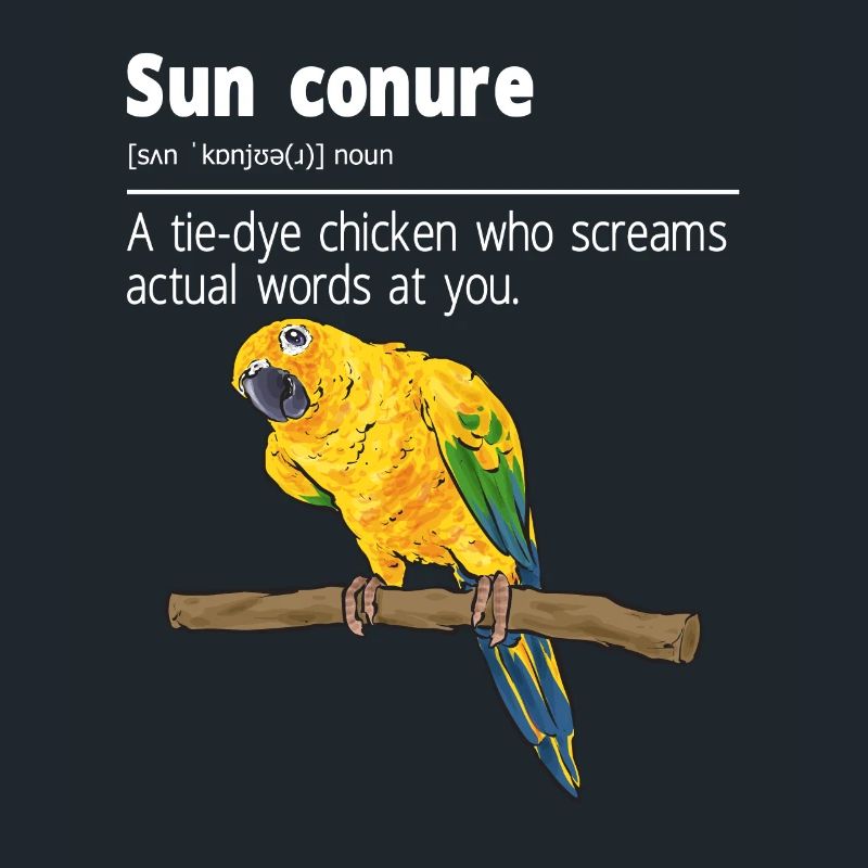 Perruche Perroquet Perruche Oiseau