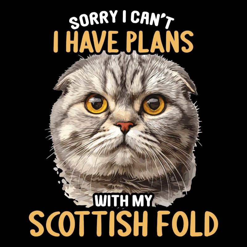 Scottish Fold Kätzchen Scottish Fold Katze