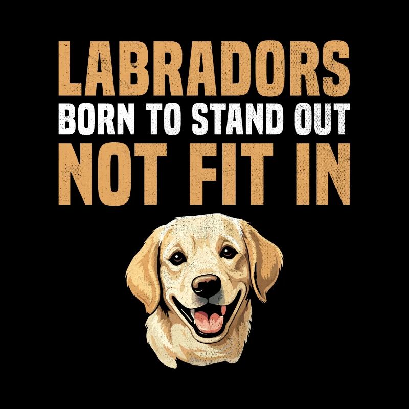 Les labradors nés pour se démarquer ne conviennent pas au Labrador re