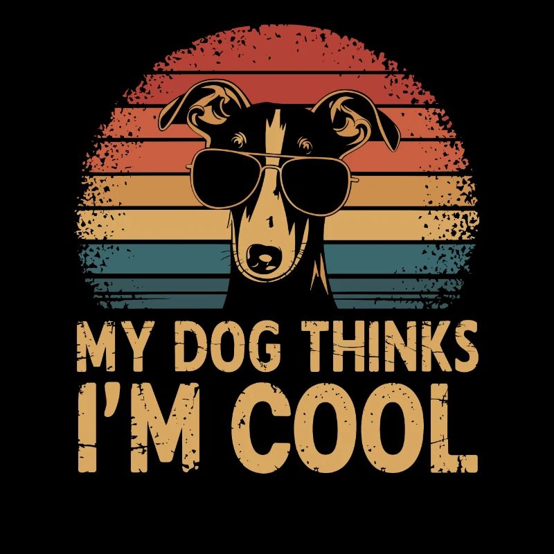 Whippet Mon chien pense que je suis cool