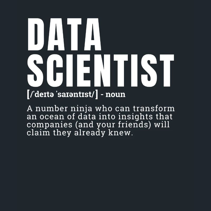 Funny Data Scientist Definition Occupation Occupat