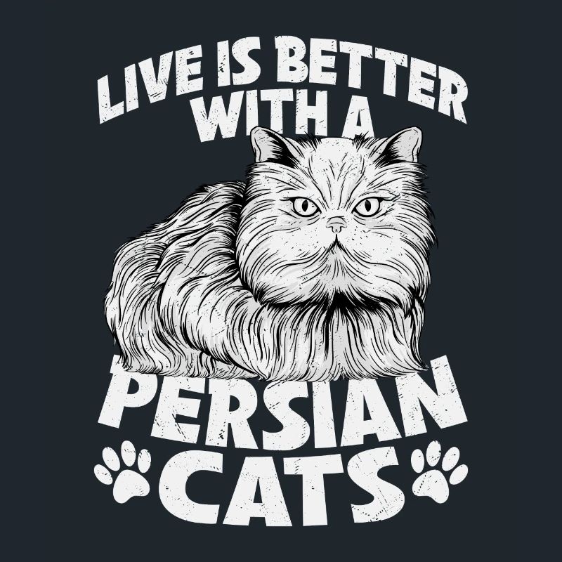 Live Is Better With A Persian Cats Kitten Owner Ca