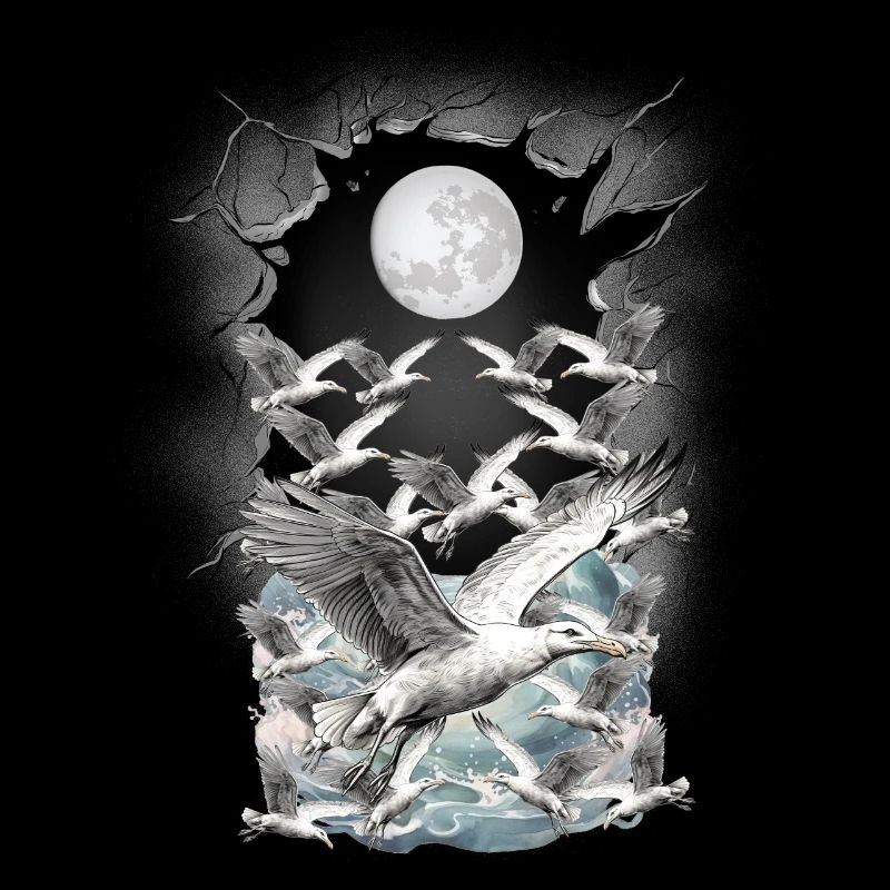 maritime, mouette, mouettes