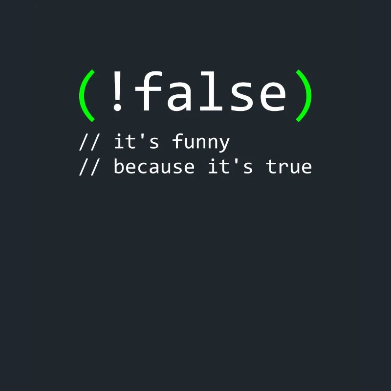 Programmierer Humor false true funny Nerd Geek