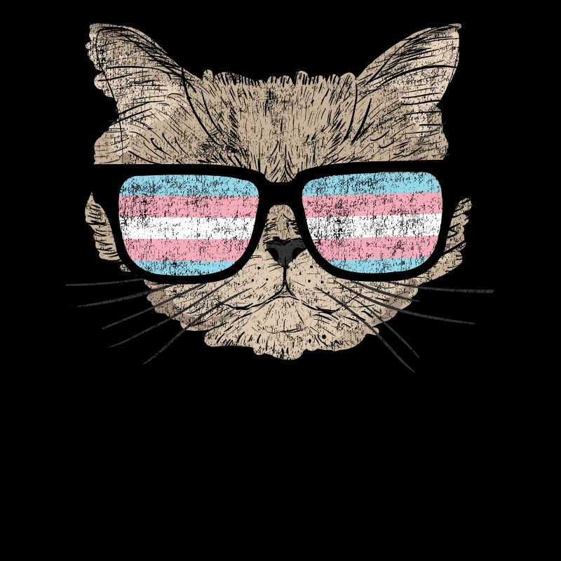Transgender Trans LGBT Pride