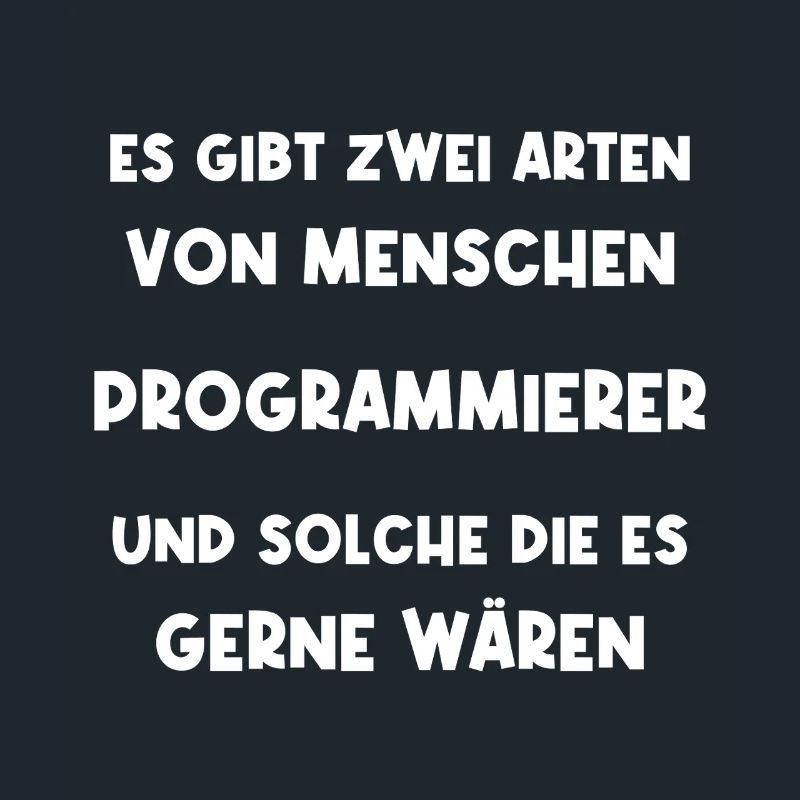 Programmierer Informatiker Softwareentwickler