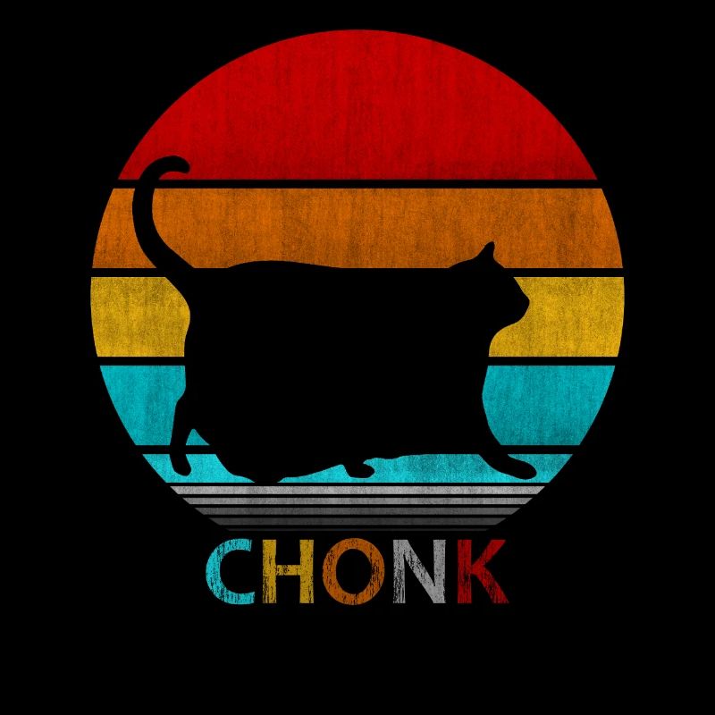 Sunset Chonk Cat - T-shirt mignon Fat Cat Lover