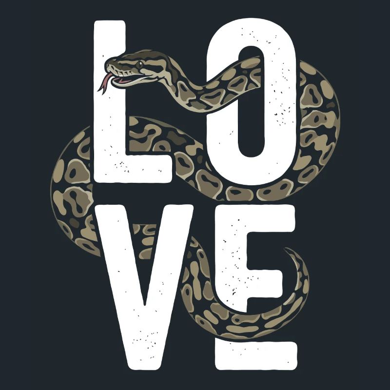 Les serpents rois Python ADORENT les pythons de terrarium