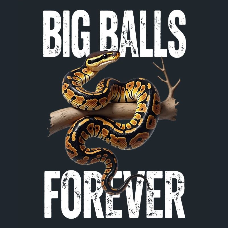 King Python Snakes Lover Terrarium Python