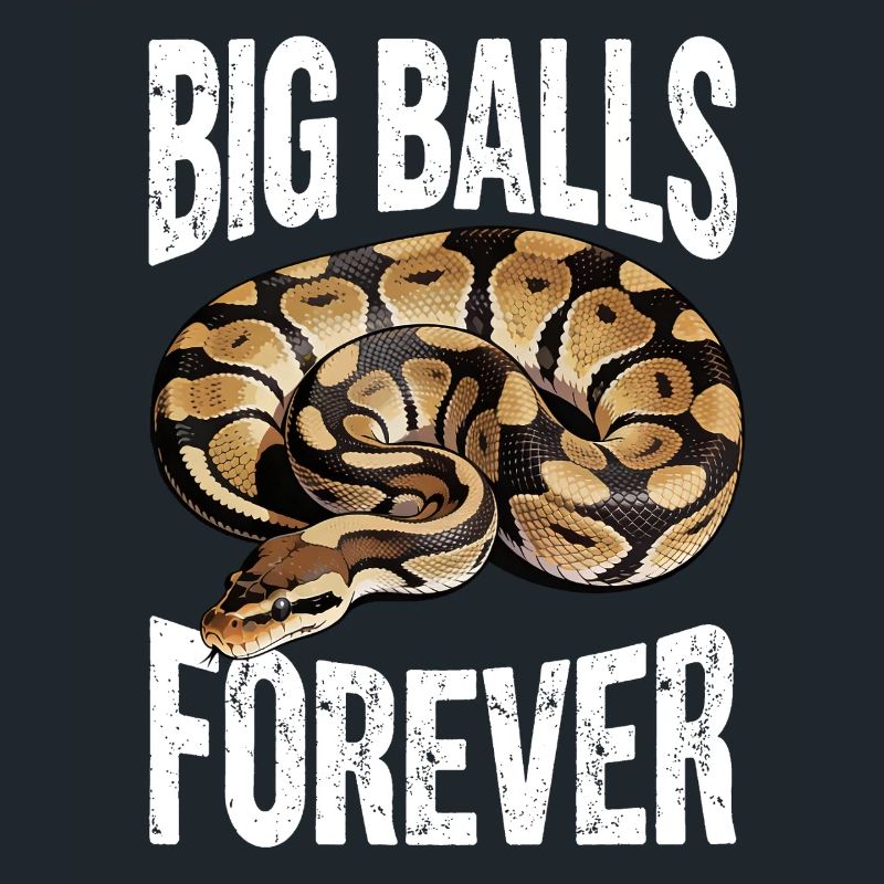 Python roi Serpents Amateurs de terrarium Python