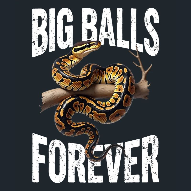 King Python Snakes Lover Terrarium Python