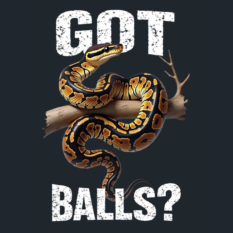 Python roi Serpents Amateurs de terrarium Python