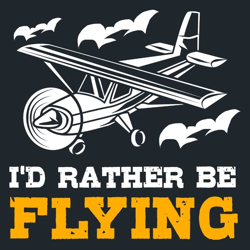 Pilot Flugzeug