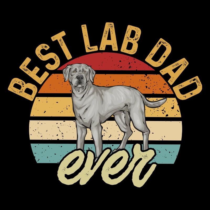 Silver Labrador Retriever Silver Lab