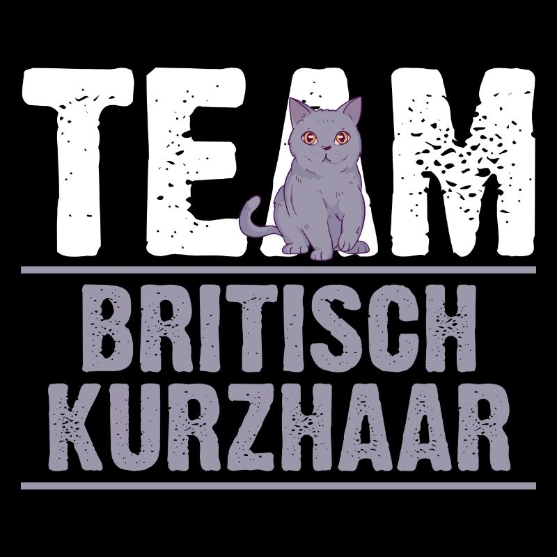 Britisch Kurzhaar Katze
