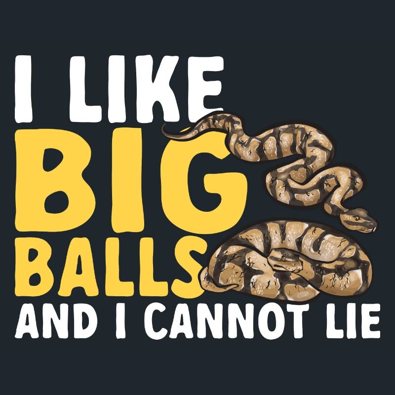 Ball Python Schlange Königspython