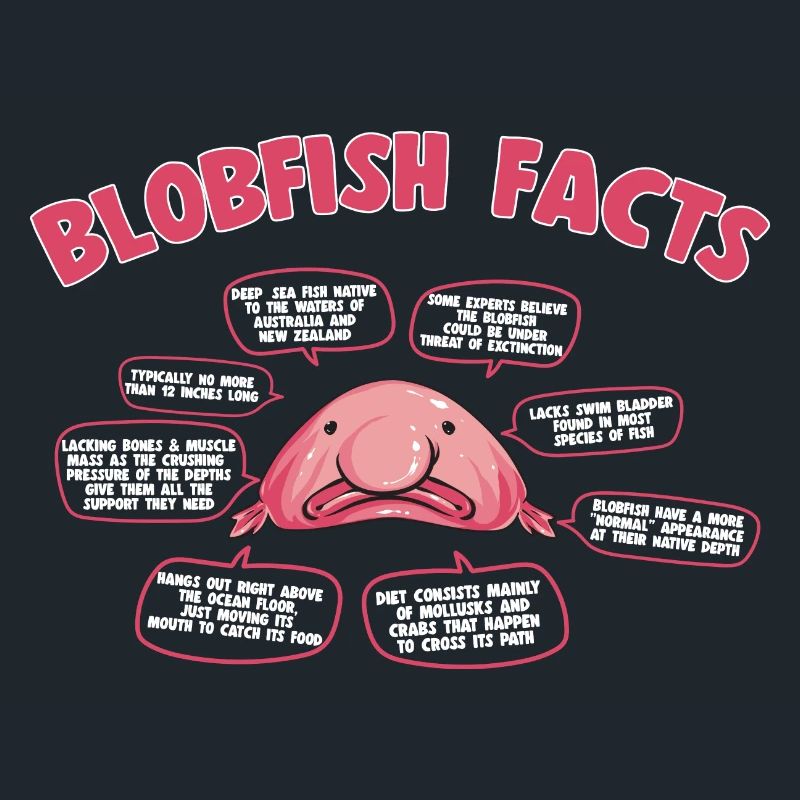 Blob fish