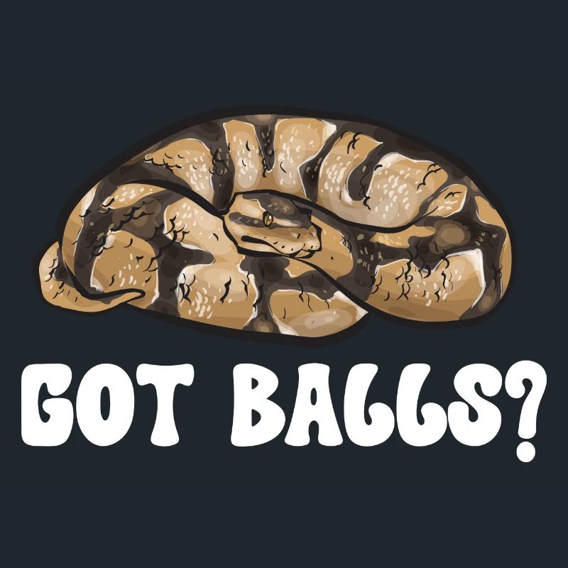 Ball Python Snake King Python